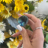 Labradorite dragons egg