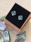 Abalone shell studs