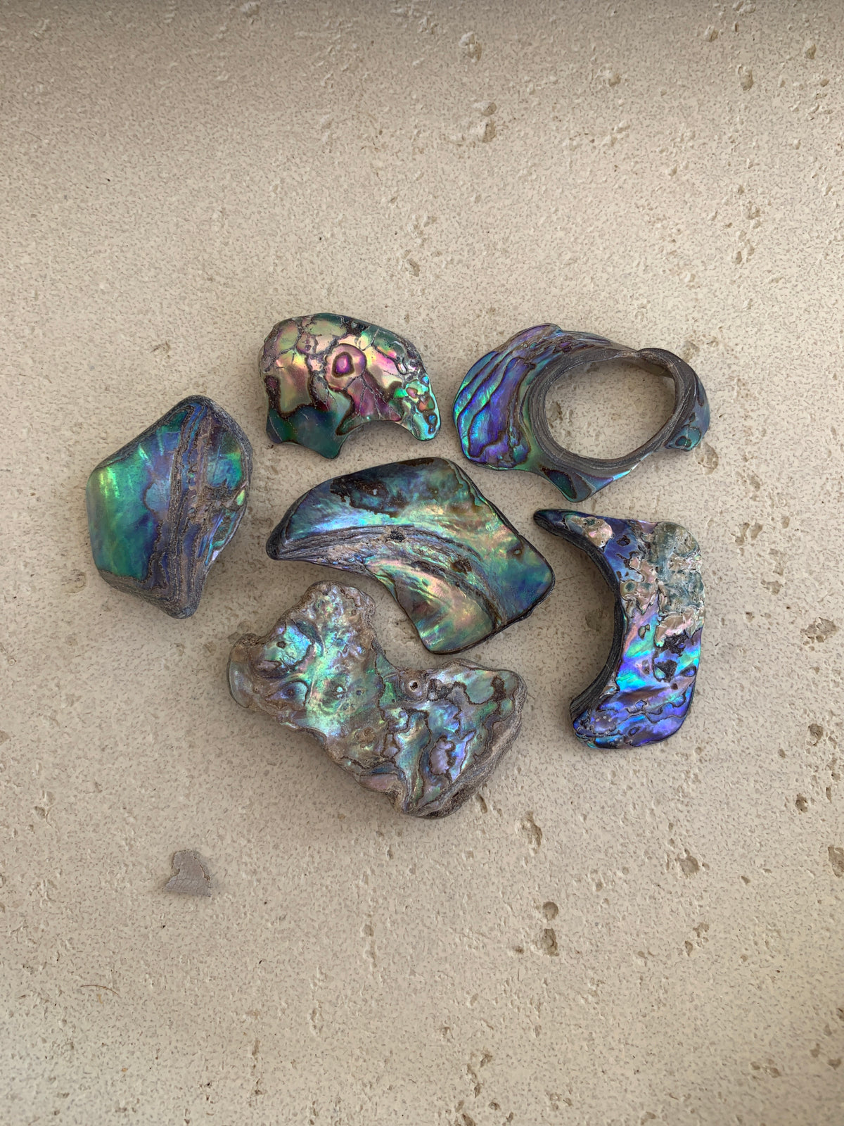 Abalone Shells