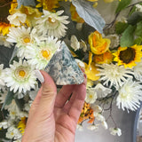 Tree agate point holder