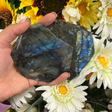 Labradorite coasters