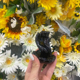 Hand on lotus backflow burner