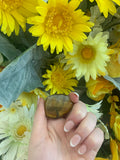 Tigers eye thumbstone