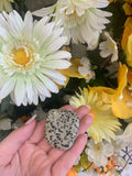Dalmation Jasper thumbstone