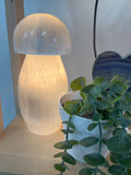 Selenite mushroom lamp