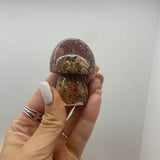 Sunstone mushroom