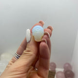Opalite skull S