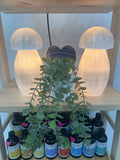 Selenite mushroom lamp