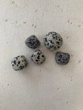 Dalmation Jasper Tumble