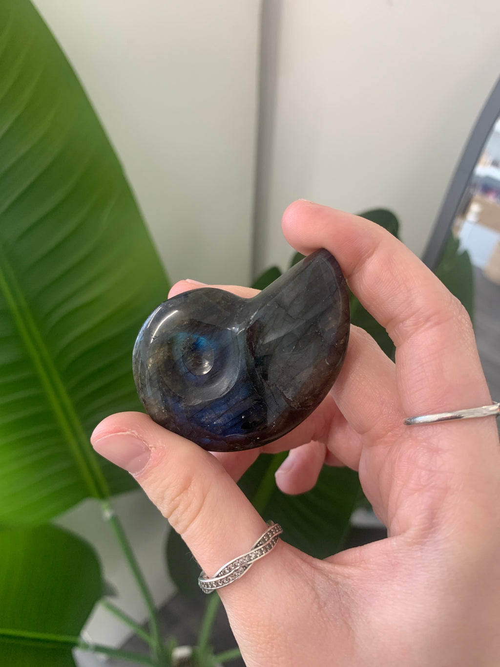 Labradorite ammonite swirl