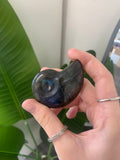 Labradorite ammonite swirl