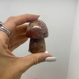 Sunstone mushroom