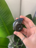Labradorite ammonite swirl