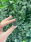 Grey Agate mushroom