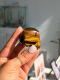 Tigers eye skull
