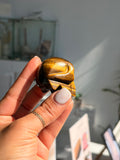 Tigers eye skull