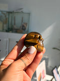 Tigers eye skull
