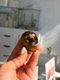 Tigers eye skull