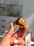 Tigers eye skull